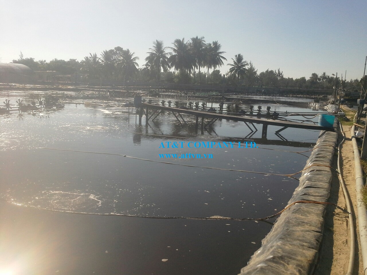 Bạt lót ao tôm