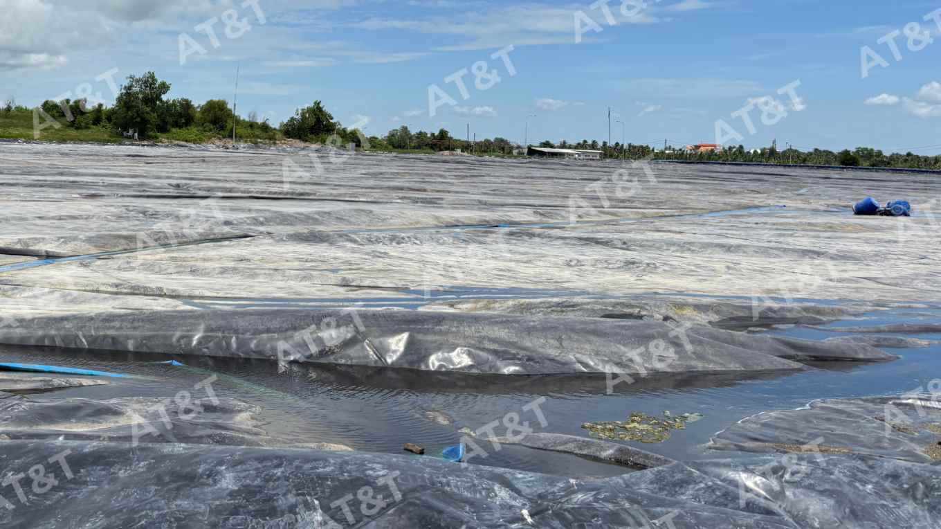 Nổi bạt HDPE