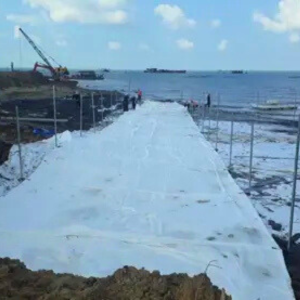 Vải địa kỹ thuật dệt - Ảnh 3