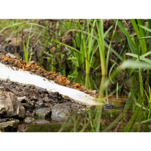 Màng sét chống thấm GCL Bentofix Green (tự phân hủy) - Ảnh 4