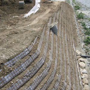 Lưới địa kỹ thuật một trục