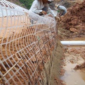 Lưới địa kỹ thuật một trục