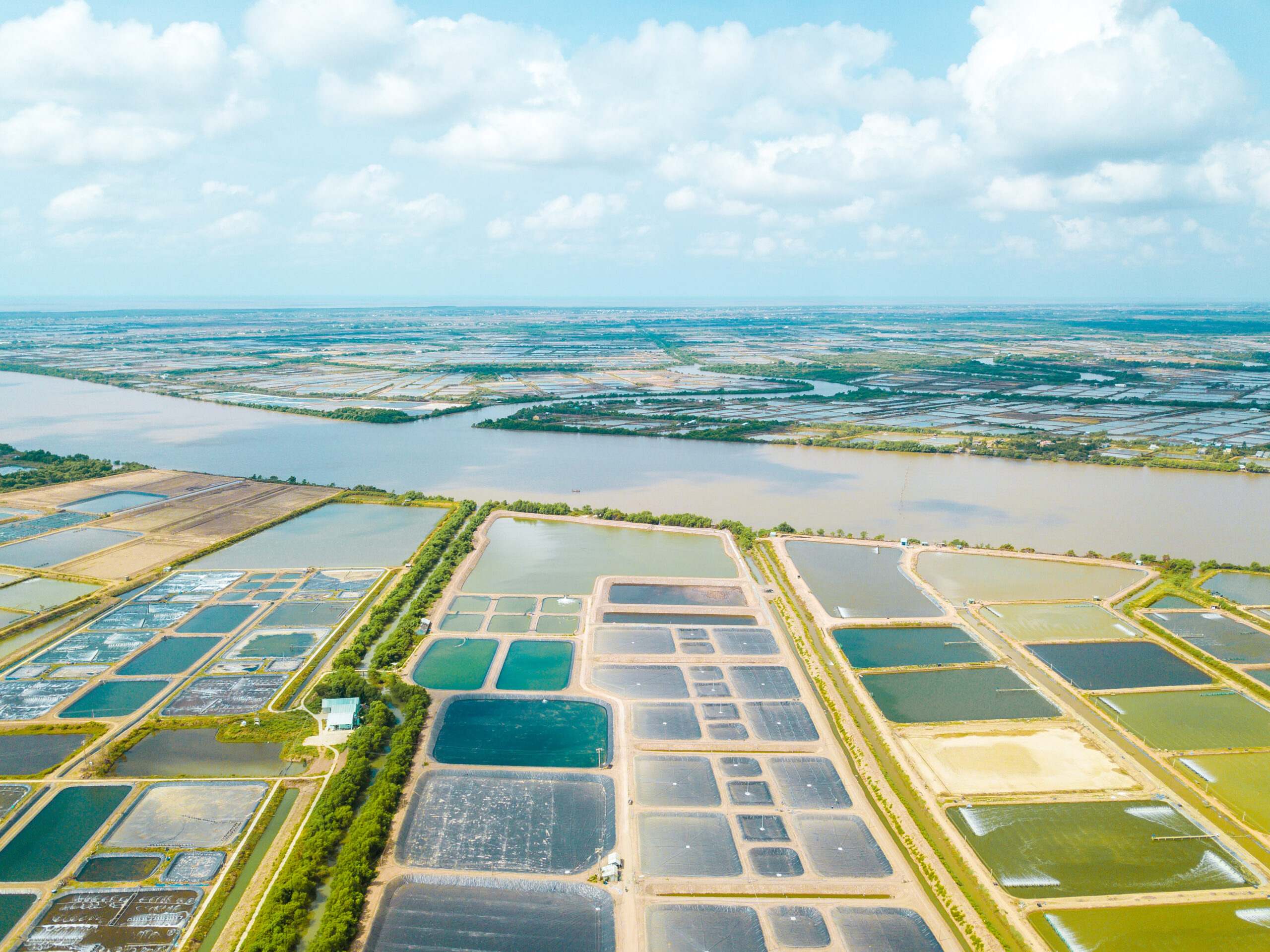 Màng HDPE trong nuôi trồng thủy sản