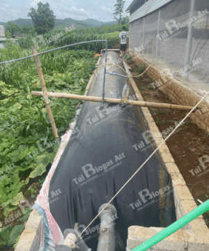 giá túi biogas khổ ngang 2m bao nhiêu