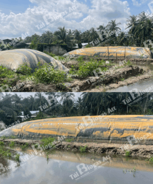 tui biogas sieu to, khong lo